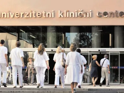 Tomaž Zajel&scaron;nik/dokumentacija Dnevnika