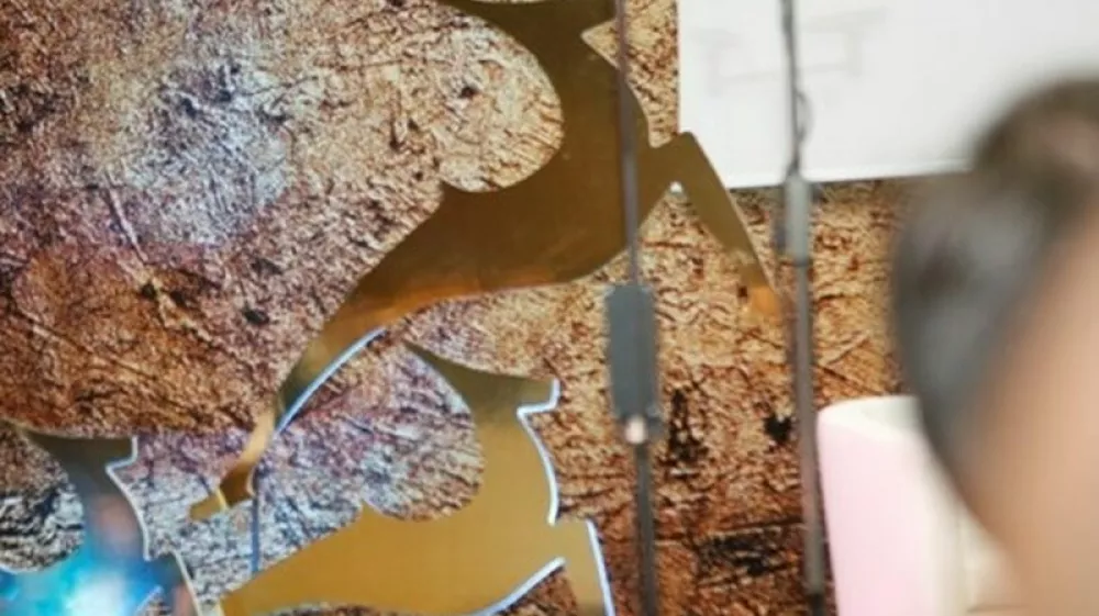 (Foto: Tomaž Skale)