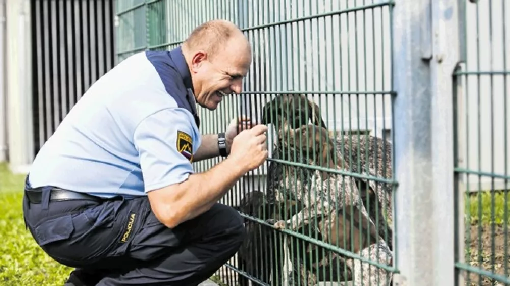 &Scaron;olanje službenih psov: Psa mora&scaron; naučiti ugrizniti
