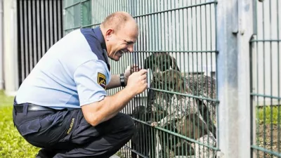 Šolanje službenih psov: Psa moraš naučiti ugrizniti