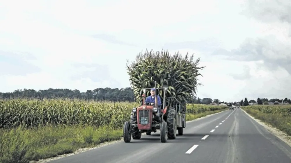 Če zahteve kmetov ne bodo izpolnjene, bodo nadaljevali  aktivnosti za organizacijo vsesplo&scaron;nega kmečkega protesta.