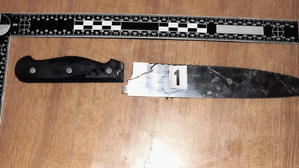 Policisti so zasegli orožje, naboje in tudi nože, s katerimi je grozil ženi in otrokoma.