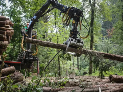 V Sloveniji je trenutno 1795 izvajalcev gozdnih del. Kdo med njimi je najustreznej&scaron;i, lahko lastniki gozdov izvedo prek informacijskega portala MojGozdar.si.
