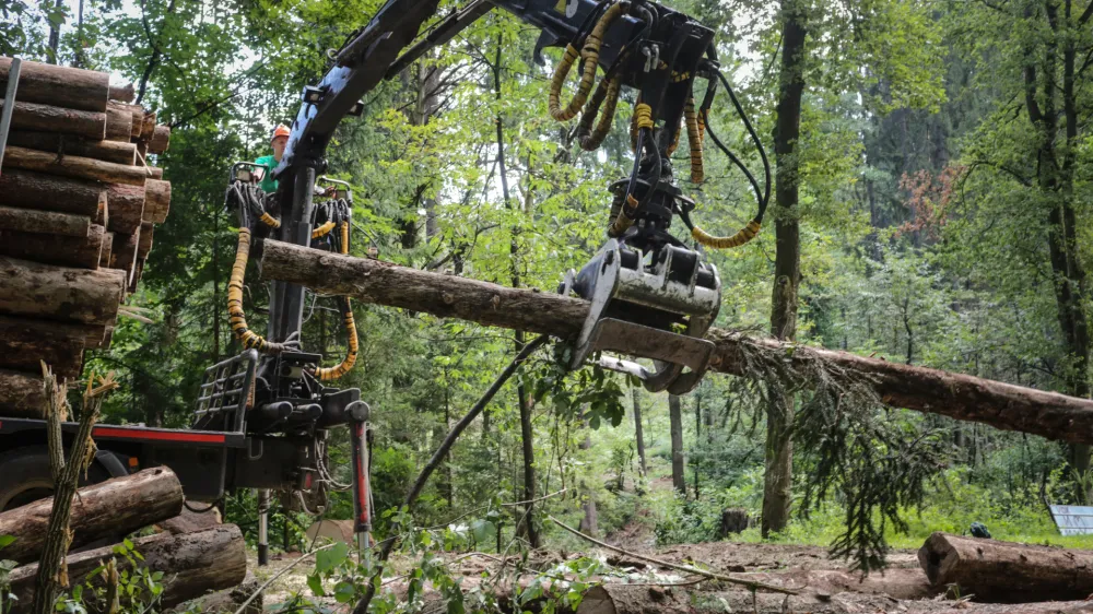 V Sloveniji je trenutno 1795 izvajalcev gozdnih del. Kdo med njimi je najustreznej&scaron;i, lahko lastniki gozdov izvedo prek informacijskega portala MojGozdar.si.