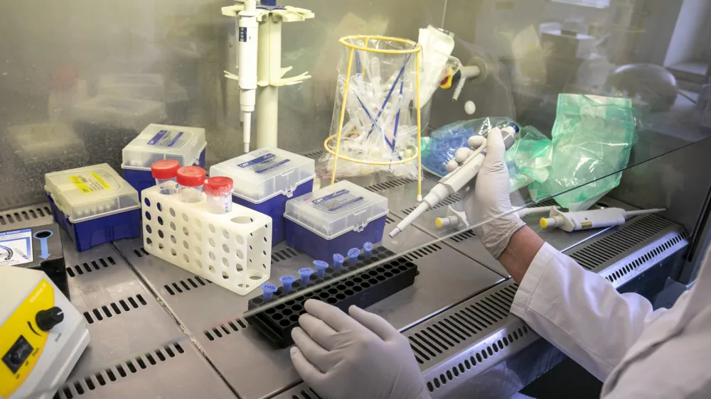 V slovenskem zdravstvu za zdaj niso zaznali različice deltrakron. Mogoče je sicer, da doslej zgolj ni bila zajeta v analiziranih vzorcih.

F Matjaž Ru&scaron;t R