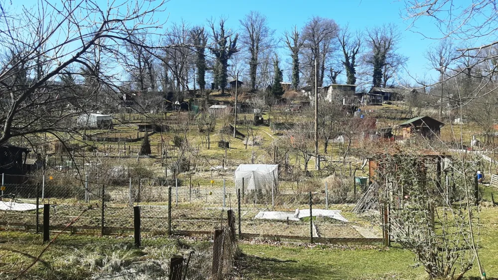 Med letom bo urejena nova vrtičkarska cona, ki bo namenjena vrtičkarjem z območja Le&scaron;e.&nbsp;