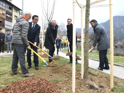 &Scaron;e zadnjo od 30 japonskih če&scaron;enj v sakura parku ob Rinži so posadili (z leve) olimpionik Miro Cerar, japonski veleposlanik Hiromichi Matsushima, Andrej Jan&scaron;a iz SDG, župan Vladimir Prebilič in direktor Yaskawa Slovenija Hubert Kosler. F 