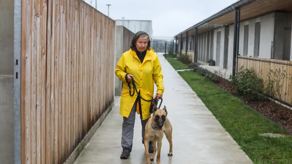 - 01.04.2022 - VIDA KOLO&Scaron;, sprehajalka psov v Gmajniah, rekorderka po &scaron;tevilo sprehodov //FOTO: Bojan Velikonja