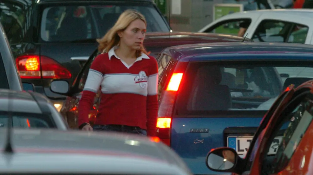 &raquo;Pogosto so tržne cene biogoriv enkrat vi&scaron;je od navadnih goriv. Če prime&scaron;avamo deset odstotkov biodizla dizelskemu gorivu, to pomeni, da se s tem cena biodizelskega goriva poveča za približno 13 centov,&laquo; je pojasnil dr. Sa&scaron;o Polanec.

F Luka Cjuha R