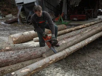 Za ustrezno preskrbo slovenske lesne industrije z lesom mora biti v strategijo s področja gozdno-lesne verige vključeno gozdarstvo, predvsem pa predstavniki zasebnih lastnikov gozdov, so poudarili na Zavodu za gozdove Slovenije. Foto: Luka Cjuha&nbsp;