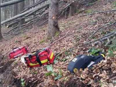 V delovni nesreči je med spravilom lesa umrl mo&scaron;ki. 