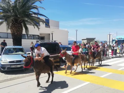 Prireditev Prvomajska zarja v Ba&scaron;ki Vodi že od nekdaj privabljala veliko obiskovalcev, zaradi praznikov in podalj&scaron;anega vikenda pa je bila Dalmacija polna tudi slovenskih gostov. Poleg jutranje budnice lokalne godbe in deljenja nageljnov po promenadi, je množica spremljala dirko oslov, kasneje tudi natakarjev. Najbolj pogumni pa so se v borbi za jagnje posku&scaron;ali povzpeti do njega po naoljenem drogu