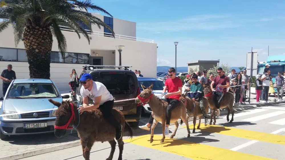Prireditev Prvomajska zarja v Ba&scaron;ki Vodi že od nekdaj privabljala veliko obiskovalcev, zaradi praznikov in podalj&scaron;anega vikenda pa je bila Dalmacija polna tudi slovenskih gostov. Poleg jutranje budnice lokalne godbe in deljenja nageljnov po promenadi, je množica spremljala dirko oslov, kasneje tudi natakarjev. Najbolj pogumni pa so se v borbi za jagnje posku&scaron;ali povzpeti do njega po naoljenem drogu