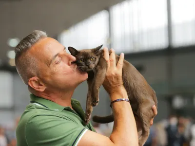 V Felinolo&scaron;kem dru&scaron;tvu Ljubljana organiziramo mednarodno mačjo razstavo, ki bo letos potekala 14. in 15. maja na novi in bolj dostopni lokaciji, v Hali Tivoli v Ljubljani. 