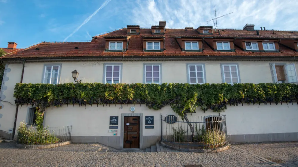 Hi&scaron;a stare trte