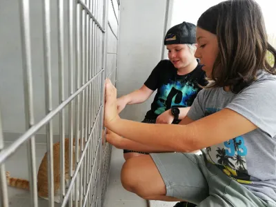 Tako kot lani bodo Mladi zmaji tudi letos organizirali počitnice v zaveti&scaron;ču Gmajnice.&nbsp;