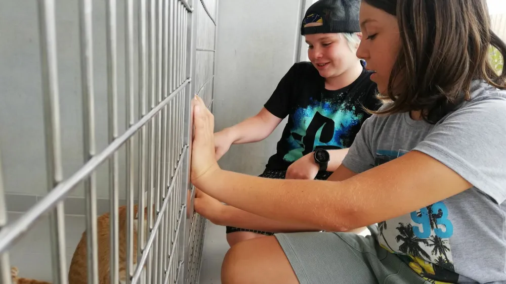 Tako kot lani bodo Mladi zmaji tudi letos organizirali počitnice v zaveti&scaron;ču Gmajnice.&nbsp;