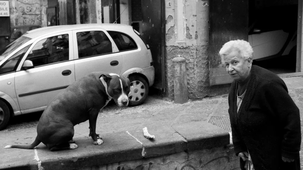 Ko gre&scaron; na jug vedno joka&scaron; dvakrat/You Always Cry Twice When You Go to the South 