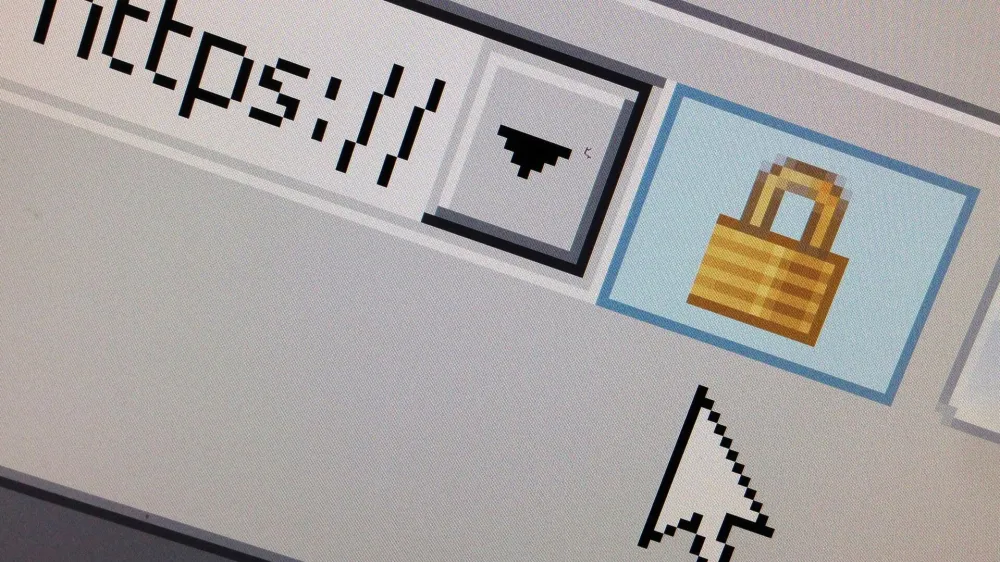 FILE PHOTO: A lock icon, signifying an encrypted Internet connection, is seen on an Internet Explorer browser in a photo illustration in Paris, France April 15, 2014. REUTERS/Mal Langsdon/File Photo