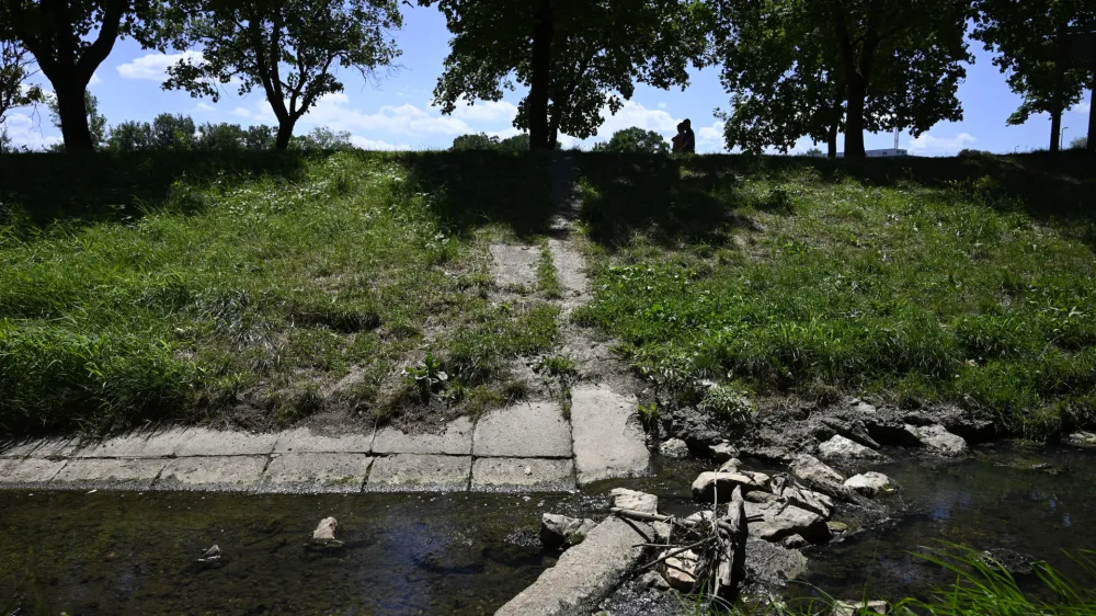 Zaradi prisotnosti potencialno strupenih cianobakterij v Glin&scaron;čici ob Poti spominov in tovari&scaron;tva raziskovalci sprehajalcem in njihovim psom odsvetujejo neposreden stik z vodo.