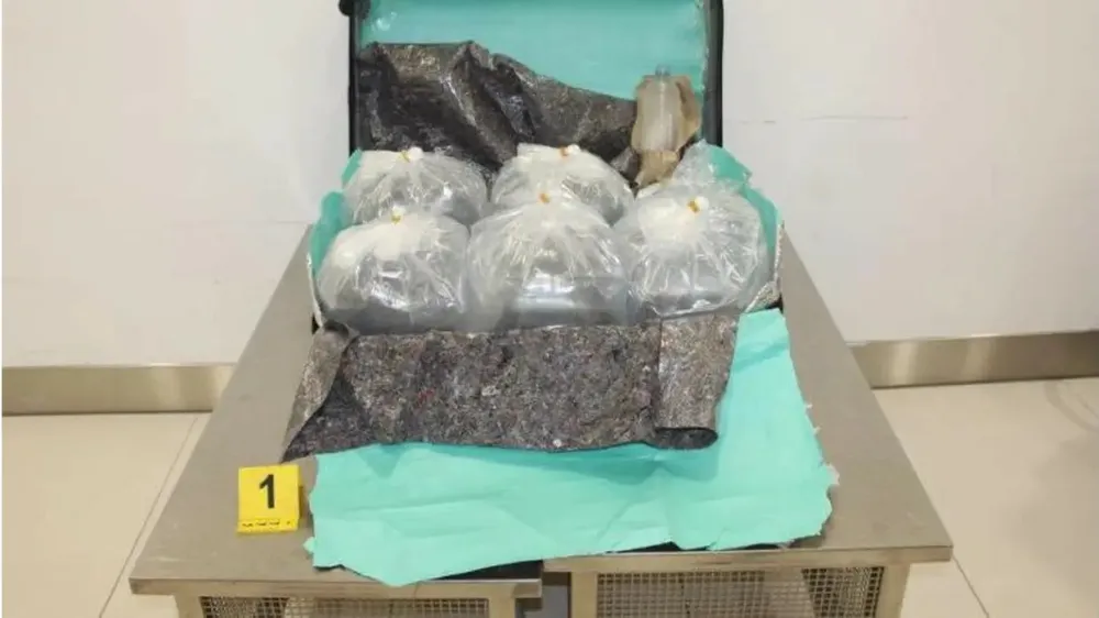 Mladice jegulje spretno zapakirajo v kovčke in jih &scaron;e žive dostavijo v azijske ribogojnice.