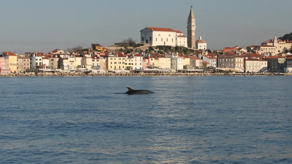 Piran, morje, slovensko morje