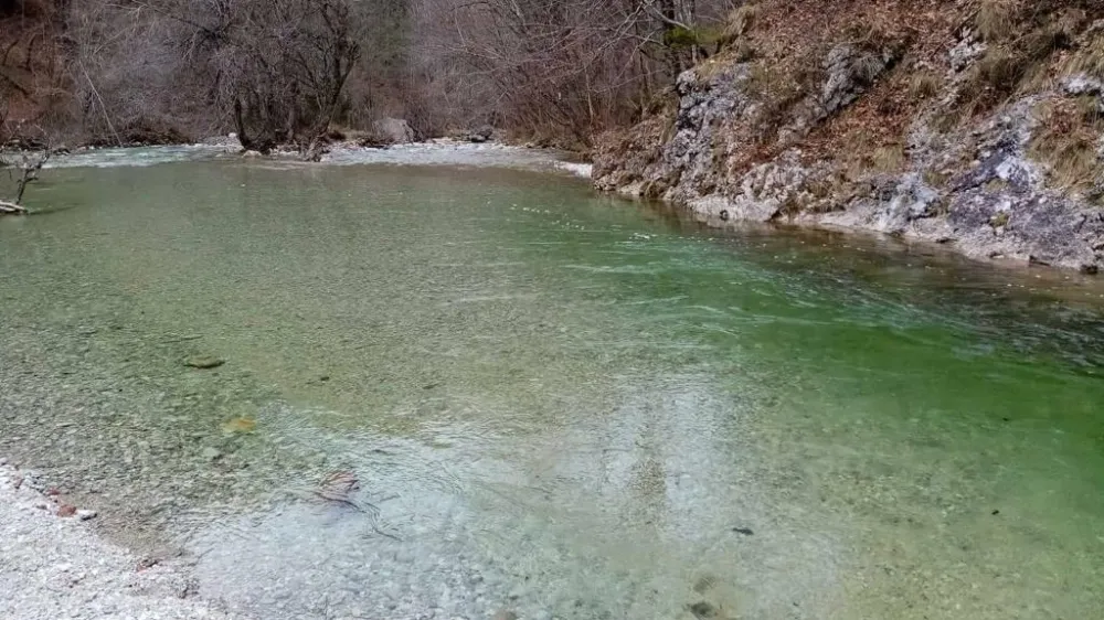 Reka I&scaron;ka je na nekaterih mestih dovolj globoka tudi za kopanje. F Neli Rožič