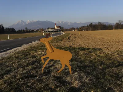 Pristojni si že vrsto let na različne načine &ndash; tudi z name&scaron;čanjem opozorilnih tabel &ndash; prizadevajo zmanj&scaron;ati &scaron;tevilo trkov vozil z divjadjo na slovenskih cestah.