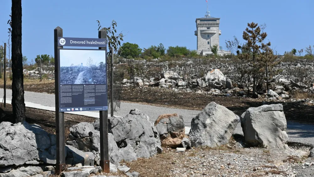 Požari na Krasu so zaradi območja s suhim rastjem, neeksplodiranih ubojnih sredstev, vremenskih razmer z nepredvidljivim vetrom namreč specifični, &scaron;e težje obvladljivi.