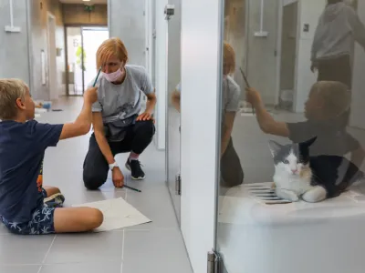 - mačke - maček- novi kompleks za zapu&scaron;čene živali - novozgrajeni objekt za mačke -&nbsp;- 27.08.2021 -&nbsp;Zaveti&scaron;če za zapu&scaron;čene&nbsp;živali Ljubljana&nbsp;Gmajnice&nbsp;30, azil za&nbsp;živali namenjen začasni namestitvi zapu&scaron;čenih&nbsp;živali psov in mačk &ndash; dan odprtih vrat&nbsp;//FOTO: Bojan Velikonja