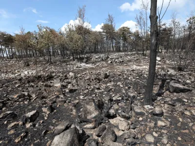 - 26.07.2022 - Kras - požar - pogori&scaron;če po požaru na Krasu - drevesa<br><br><br>//FOTO: Tomaž Skale