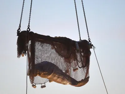 10 August 2022, France, Notre Dame de la Garenne: Rescuers pull up a net as they rescue a beluga whale stranded in the River Seine at Notre Dame de la-Garenne. French marine experts launched an ambitious operation on 9 August to save a sick beluga whale that had swum up the Seine, to return it to the sea. On its way to Paris, the four-meter-long animal was spotted a week ago and is now about 130 kilometres inland. Photo: Jean-Francois Monier/AFP/dpa