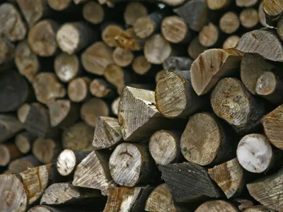 &Scaron;estin&scaron;tiridesetletni Hrvat je materi sodil s polenom, s katerim je ona napadla njega.&nbsp;