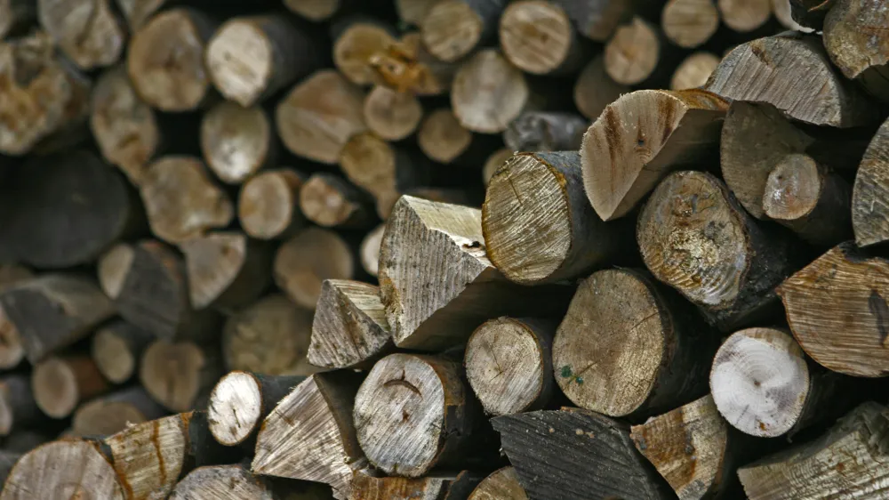 &Scaron;estin&scaron;tiridesetletni Hrvat je materi sodil s polenom, s katerim je ona napadla njega.&nbsp;