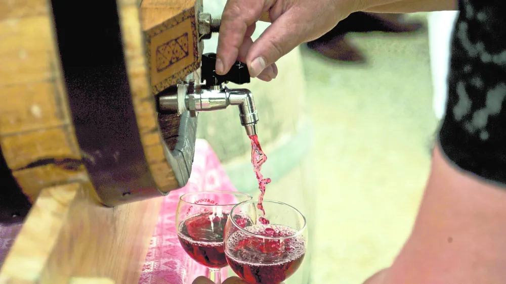 Večina se strinja, da je cviček treba prenoviti, posodobiti, vpra&scaron;anje pa je, kako. Foto: Tomaž Zajel&scaron;nik&nbsp;