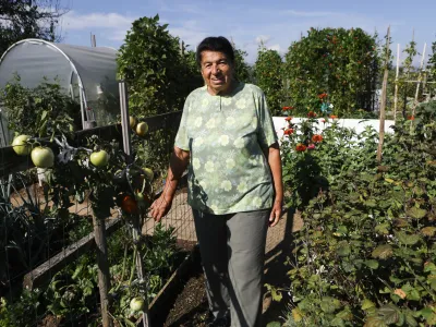 Gospa Mira Babić, ki ima svoj vrtiček pri Glin&scaron;kovi plo&scaron;čadi, posledic su&scaron;e na svojem vrtičku ni opazila.