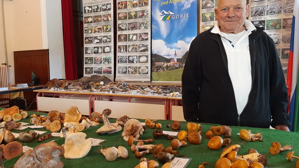 Predsednik Gobarskega dru&scaron;tva Gorje Pavel Jakopič gobe nabira že od otro&scaron;tva. Najlep&scaron;a goba zanj je ble&scaron;čava luskarica, najbolj okusna pa karželj oziroma cesarska mu&scaron;nica, ki je pri nas za&scaron;čitena. F Tina Jereb