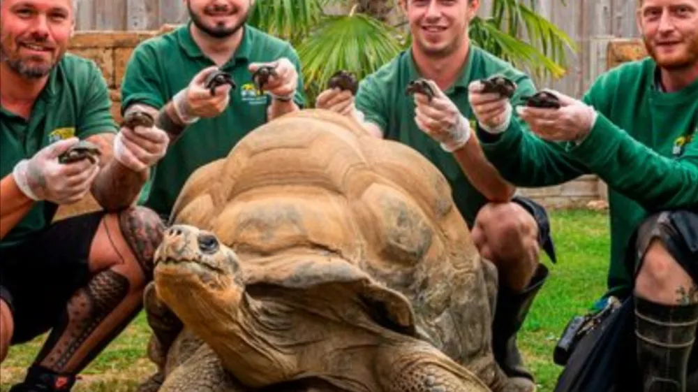 Navdu&scaron;eni oskrbniki želvaka Dirka z njegovim podmladkom. F BNPS
