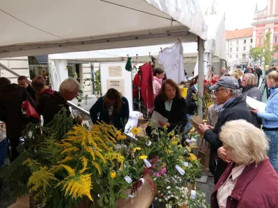 Festival invazivnih rastlin