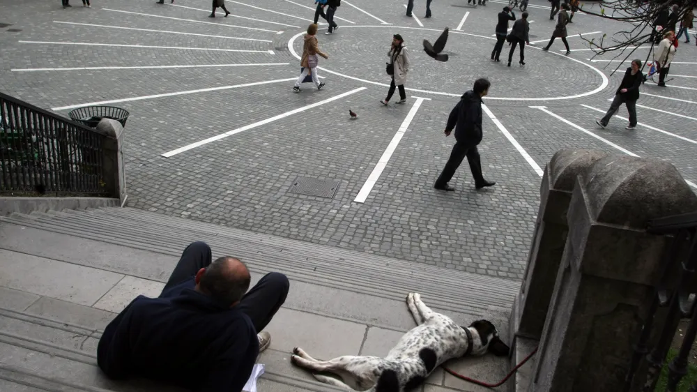 - Pre&scaron;ernov trg, Franči&scaron;kanska cerkev, ilustrativna fotografija - utrujenost - počitek - pes//FOTO: Jaka Gasar