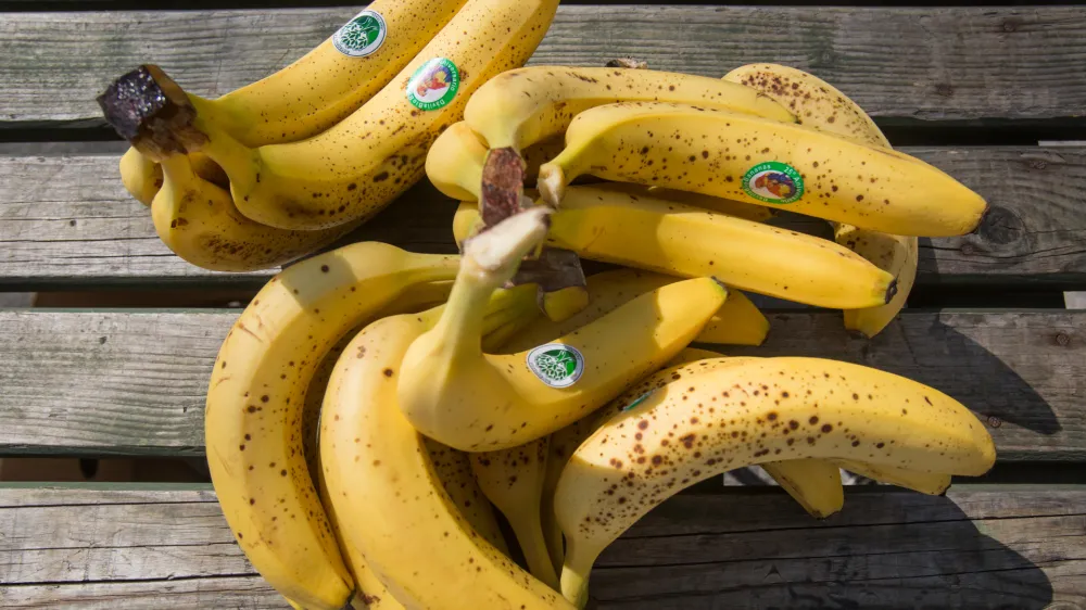 - 20.04.2016 - Ljubljanska tržnica - svetovni dan banan - predstavitev projekta "Sadje naj bo pravično" Komu služijo na&scaron;e banane? -  ..//FOTO: Maja Marko  