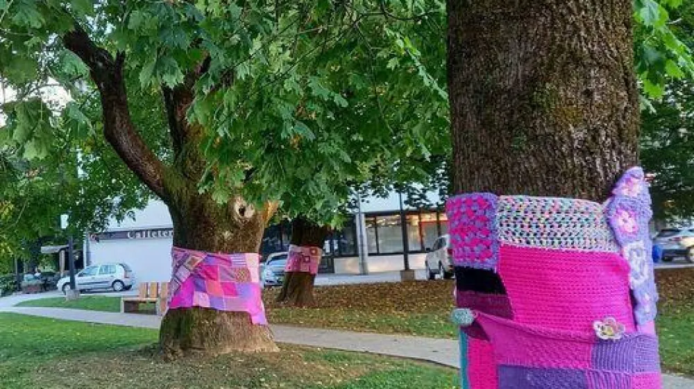 Na akcijo ozave&scaron;čanja o raku dojk v Radovljici opozarjajo tudi z rožnatimi pleteninami, ki ovijajo debla dreves pred grajskim drevoredom.&nbsp;