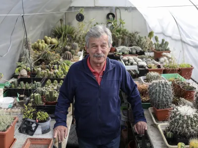 Ljubiteljski botanik Jure Slatner je najprej zbiral kaktuse, dokler ni spoznal mesojedih rastlin, ki so pred 30 leti zanj postale &scaron;e večji izziv za gojenje.&nbsp;