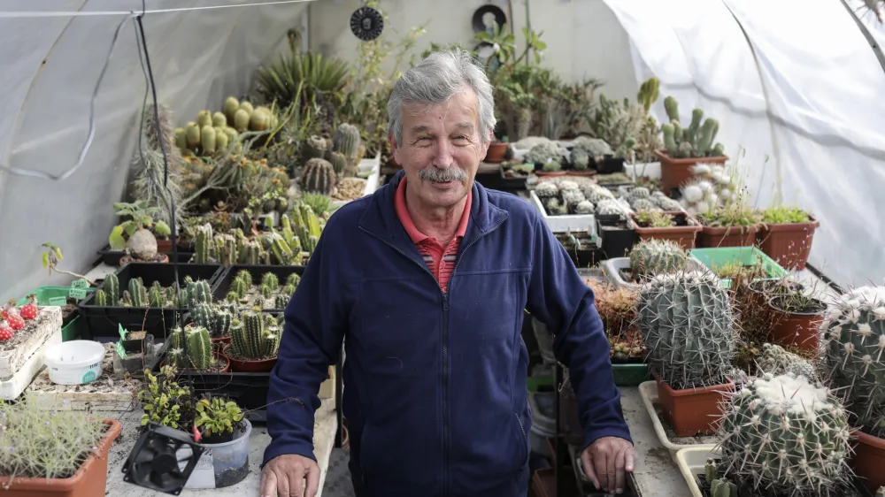 Ljubiteljski botanik Jure Slatner je najprej zbiral kaktuse, dokler ni spoznal mesojedih rastlin, ki so pred 30 leti zanj postale &scaron;e večji izziv za gojenje.&nbsp;