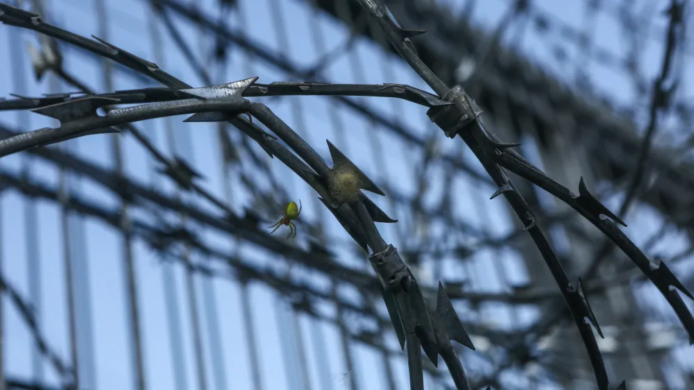 - 18.06.2018 - simbolična fotografija rezilna žicazapiranje mejnega prehoda - mejni prehod Žuniči v občini Črnomelj - (slovensko - hrva&scaron;ka ilegalna meja), reka Kolpa - panelna ograja - - Migranti 2018 &ndash; nova migrantska balkanska pot iz Makedonije preko Kosova, Črne gore, Bosne in Hercegovine proti zahodni Evropi - džamijska begunska pot - begunci -  //FOTO: Luka Cjuha