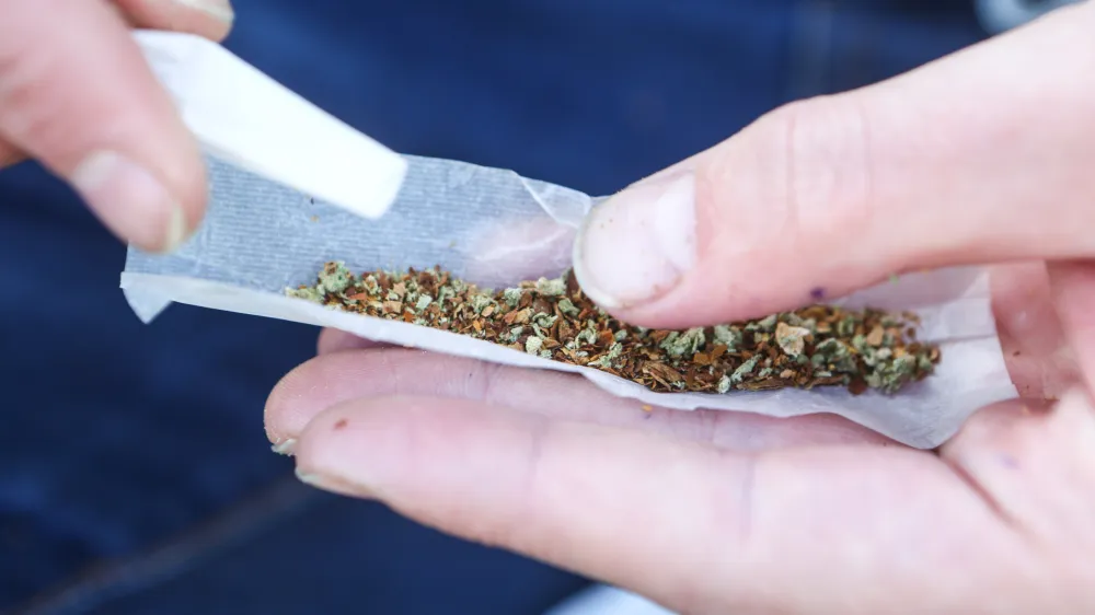 Zvijanje jointa, marihuana, kajenje marihuane, indijska konoplja- 22.04.2015 - Marihuana mar&scaron; 2015 - tradicionalni shod proti prohibiciji konoplje in za liberalizacijo zakonskega področja prepovedanih drog v organizaciji &Scaron;tudentske organizacije Univerze v Ljubljani;  //FOTO: Bojan Velikonja