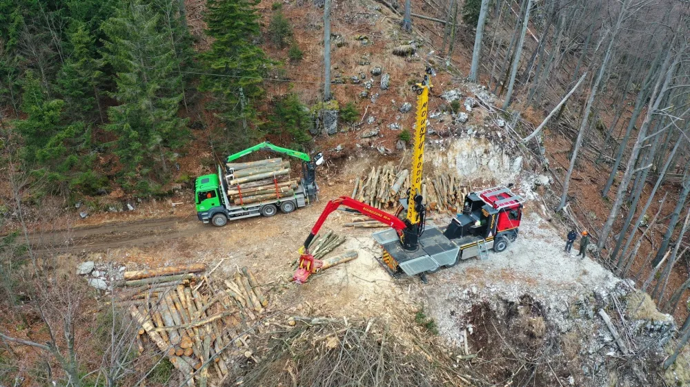 Državni zbor je 25. oktobra potrdil novelo zakona o SDH, s katero se upravljanje družbe SiDG z vlade prena&scaron;a na SDH. Toda vlada je dva dni pozneje s spremenjeno sestavo nadzornega sveta ustoličila novo vodstvo državnega gozdarskega podjetja, namesto da bi to prepustila SDH.