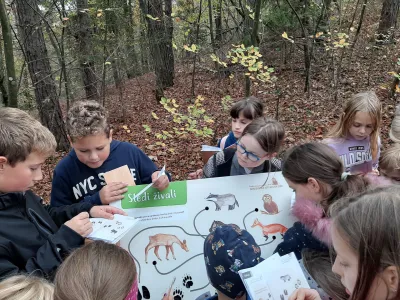 Učna pot, ki jo sestavljajo privlačne postaje, vodi po stezicah gozda in je dolga približno tri kilometre.