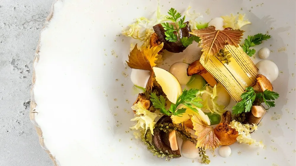 Platan Budimpe&scaron;ta