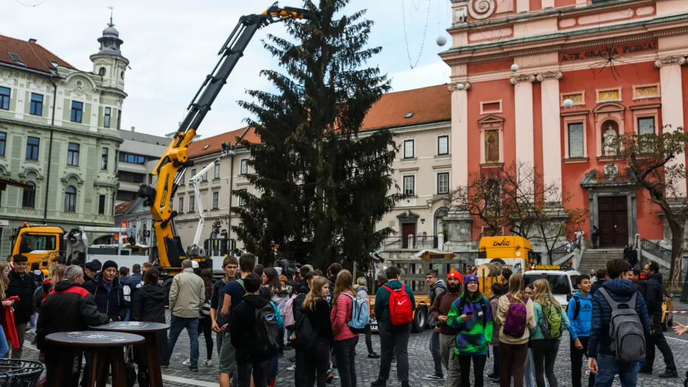 - Pre&scaron;ernov trg - Novoletna jelka - postavljanje smreke namenjene decembrskemu in novoletnemu okrasu - ﻿- 15.11.2022- Praznična okrasitev Ljubljane - priprave na Veseli December - božično novoletni sejem - prednovoletno okra&scaron;evanje //FOTO: Bojan Velikonja